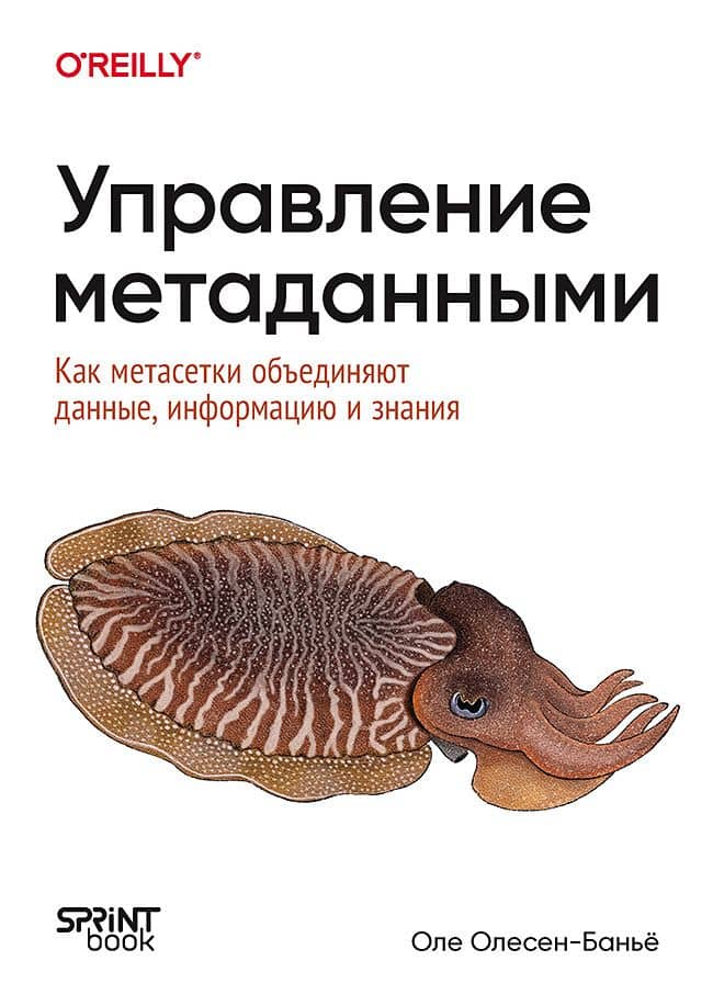 Управление метаданными. Как метасетки объединяют данные, информацию и знания — Оле Олесен-Банье