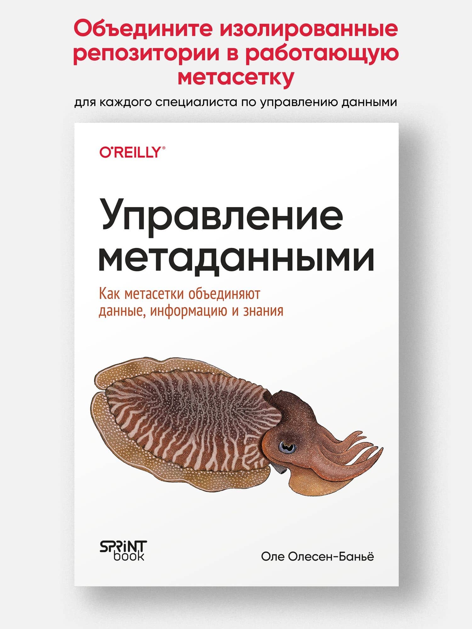 Управление метаданными. Как метасетки объединяют данные, информацию и знания — Оле Олесен-Банье (2)