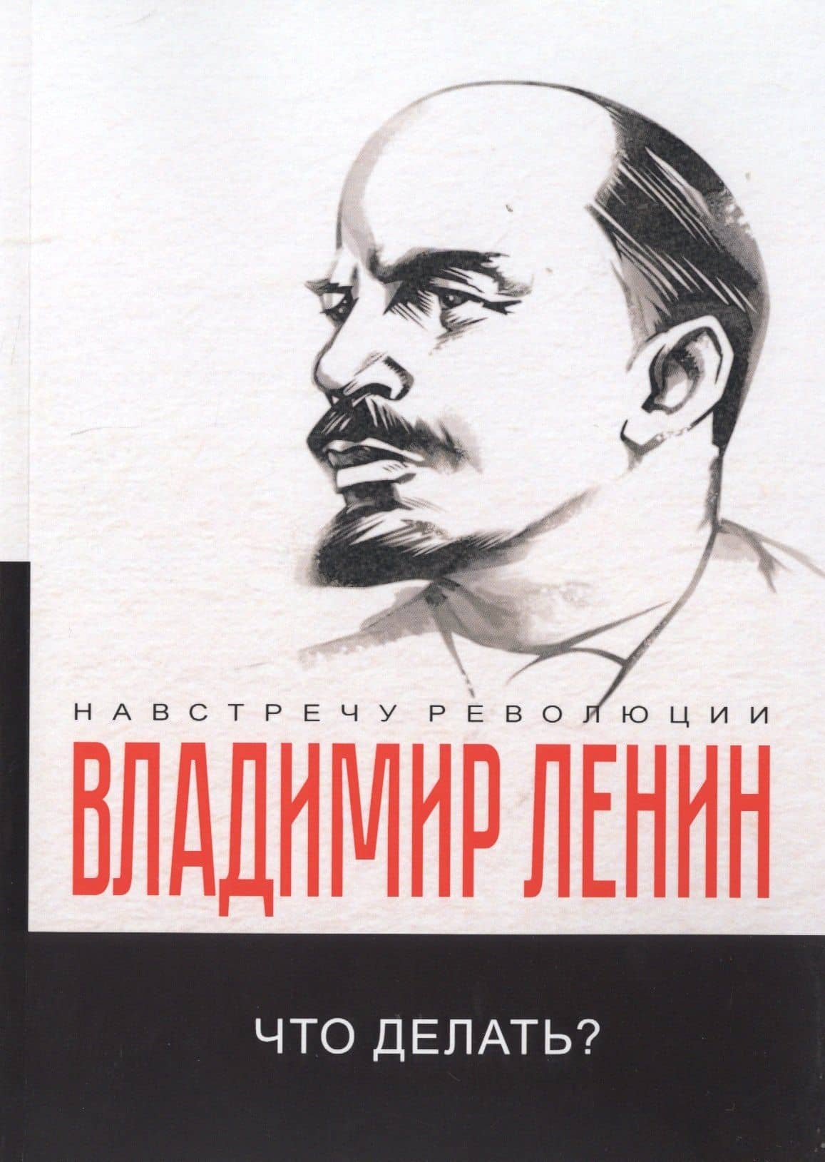 Что делать? Наболевшие вопросы нашего движения