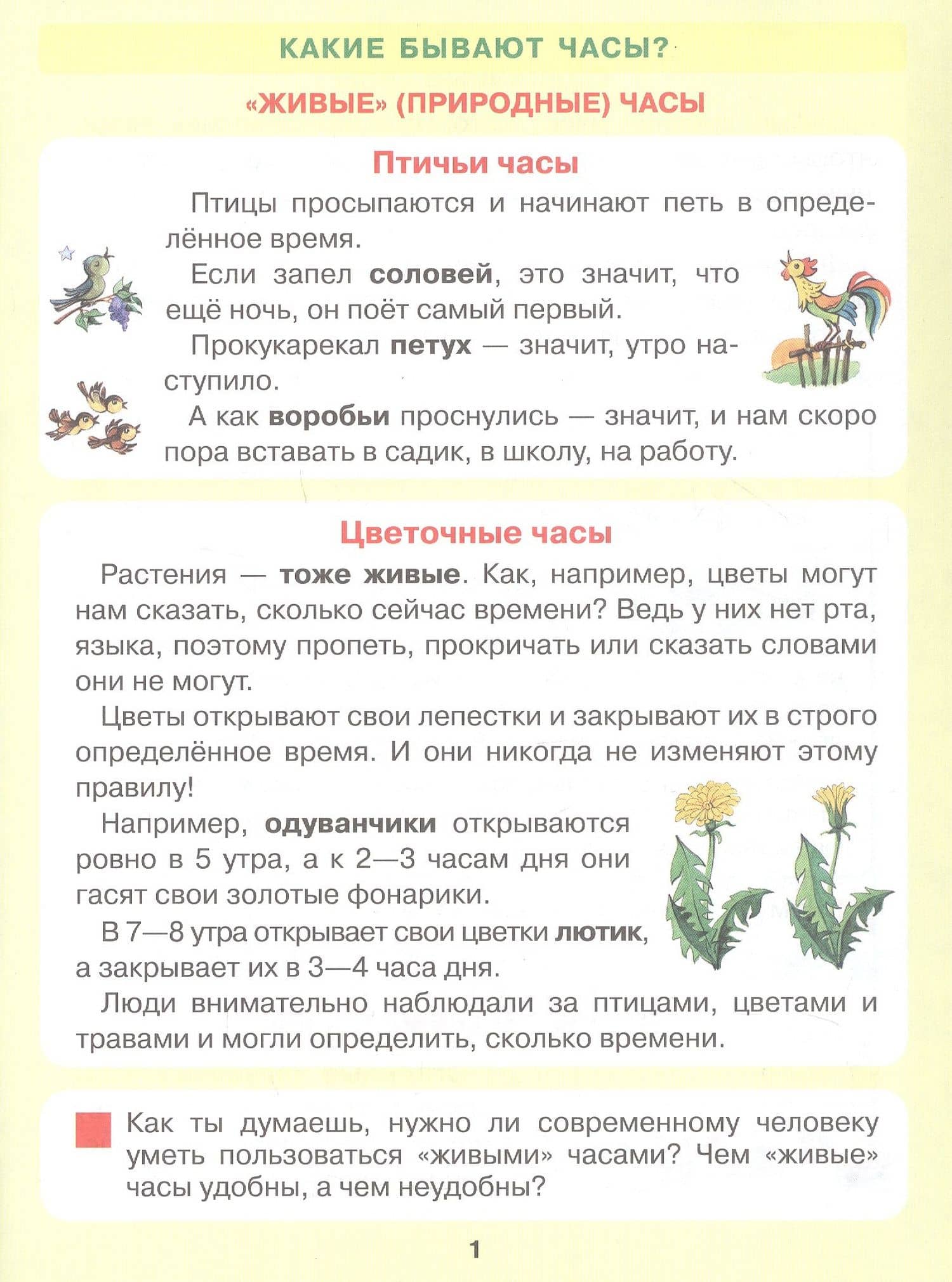 Который час? Математика для детей 5-7 ле — Елена Евгеньевна Кочемасова (2)