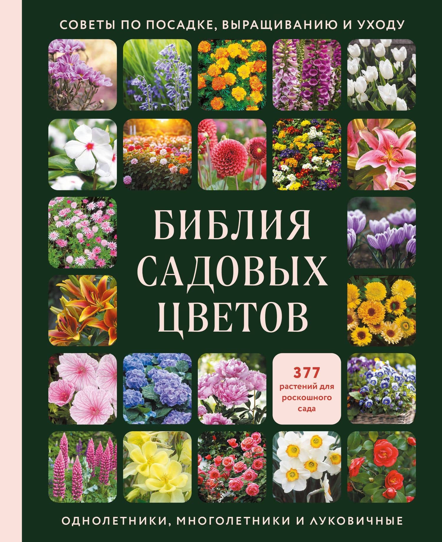 Библия садовых цветов. Однолетники, многолетники и луковичные. Советы по посадке, выращиванию и уходу