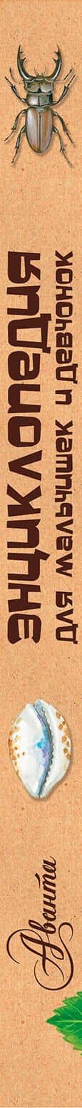 Энциклопедия для мальчишек и девчонок. Книга приключений (3)