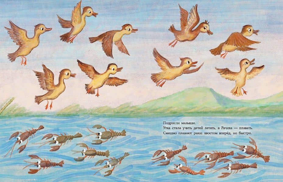 Где раки зимуют. Сказка — Ирина Яковлева (3)