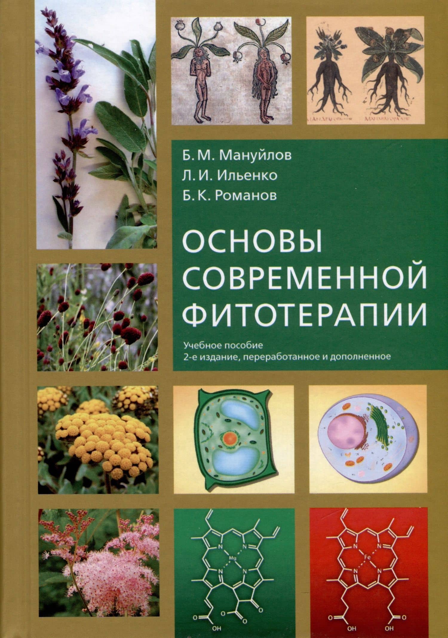 Основы современной фитотерапии