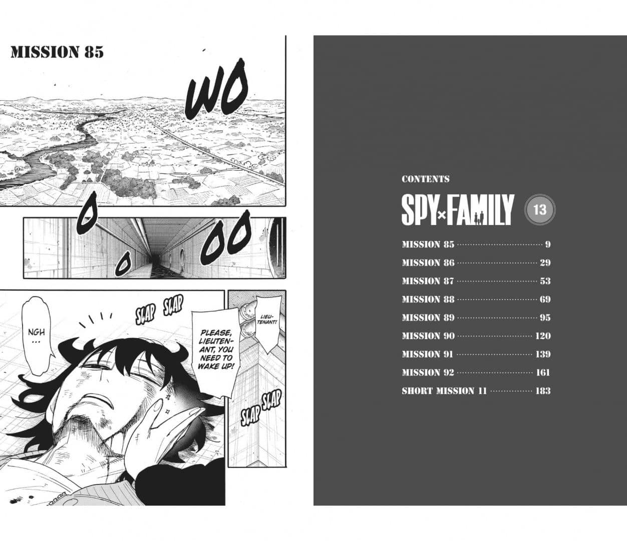 Spy X Family. Volume 13 — Tatsuya Endo (2)