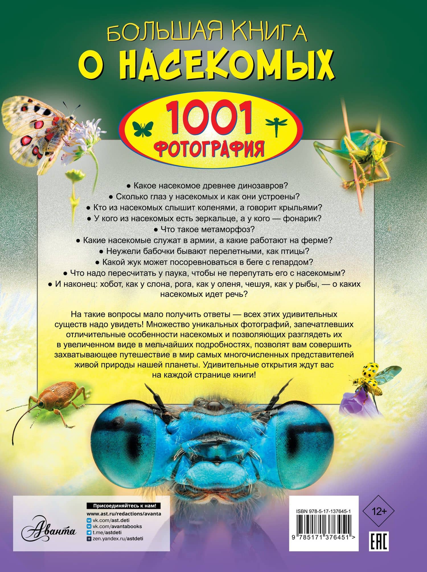Большая книга о насекомых. 1001 фотография — Анна Спектор (2)