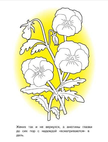 Садовые цветы. Окружающий мир. Раскраска (3)