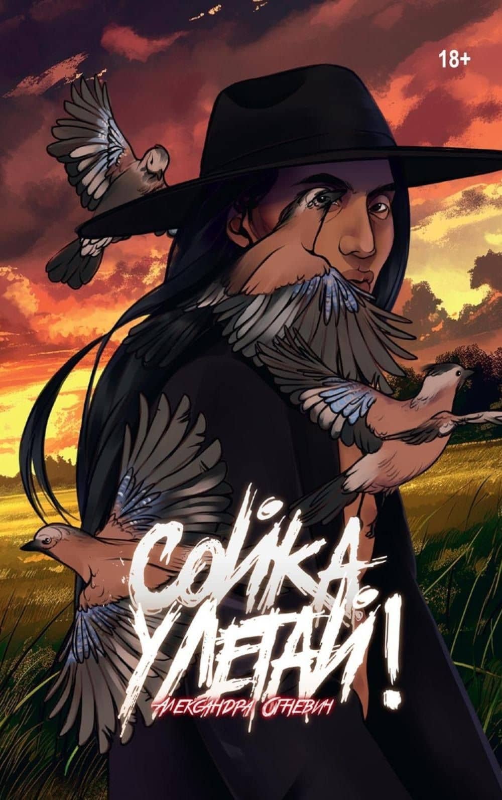 Обложка книги