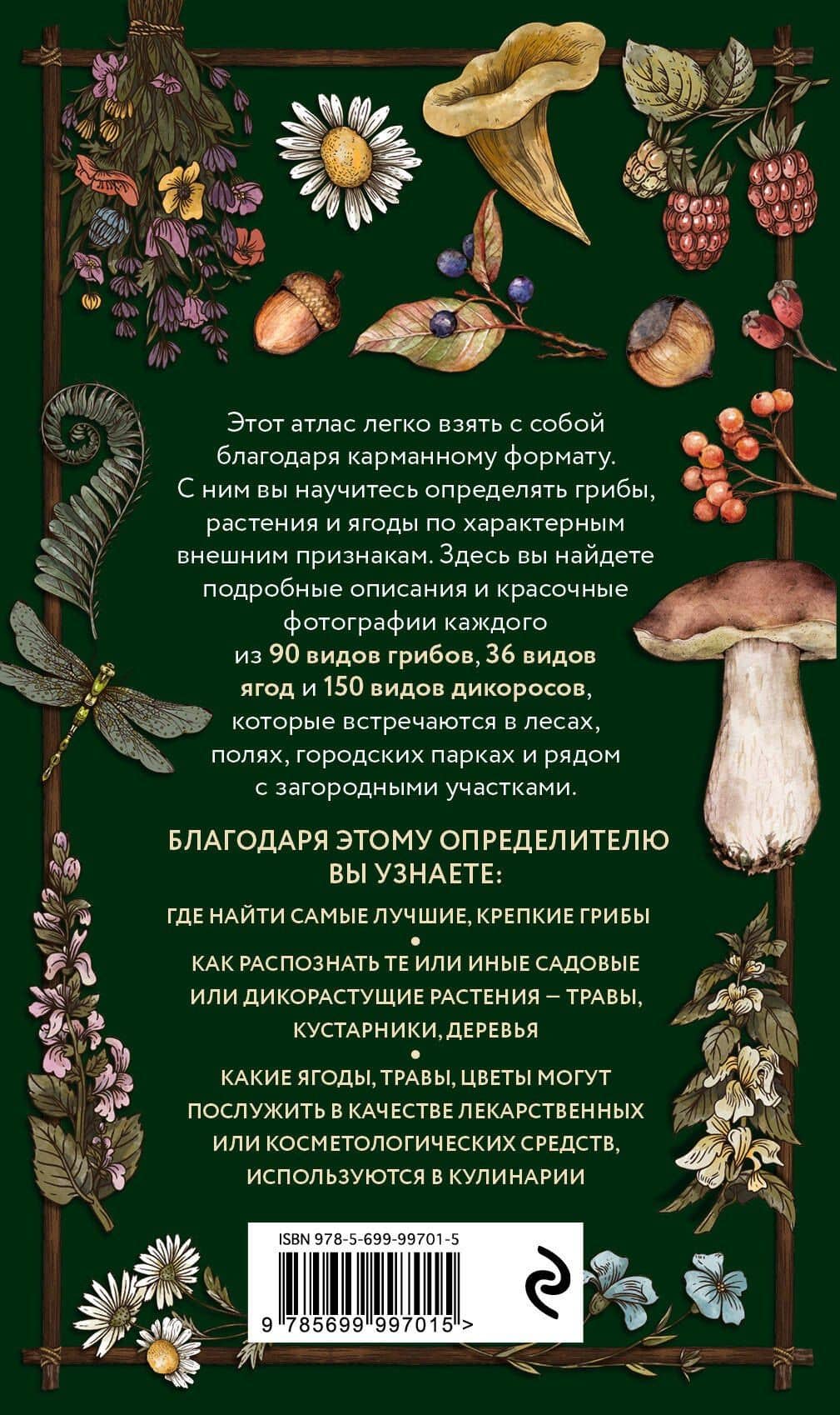 Лесной гид: грибы, ягоды, травы. Карманный атлас-определитель — Людмила Семеновна Семенова (2)