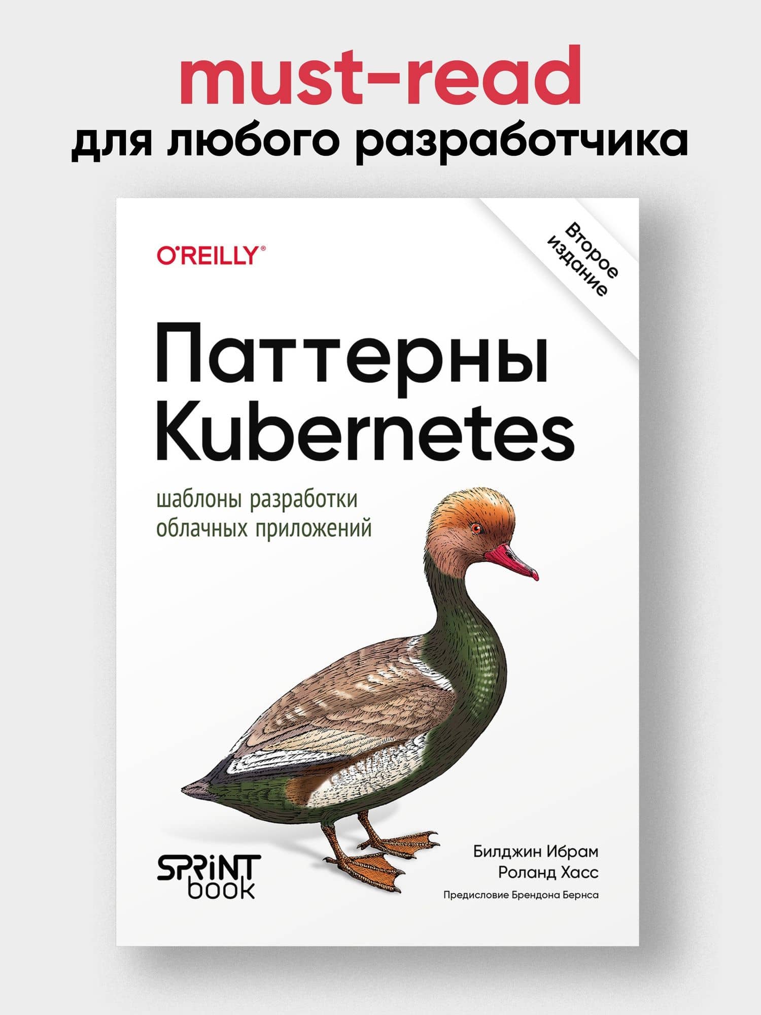 Паттерны Kubernetes: Шаблоны разработки облачных приложений. Второе издание — Роланд Хасс (3)