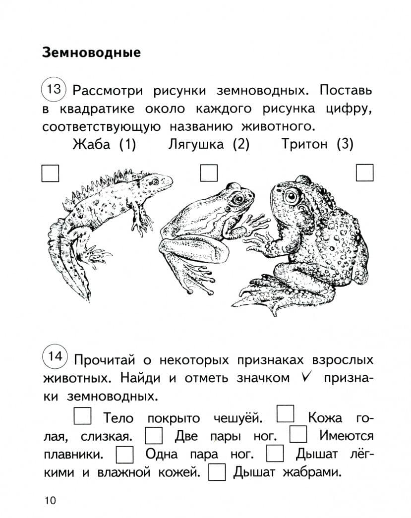 Окружающий мир. 2 класс. Тетрадь для самостоятельной работы. Часть 2 — Галина Владимировна Трафимова (2)