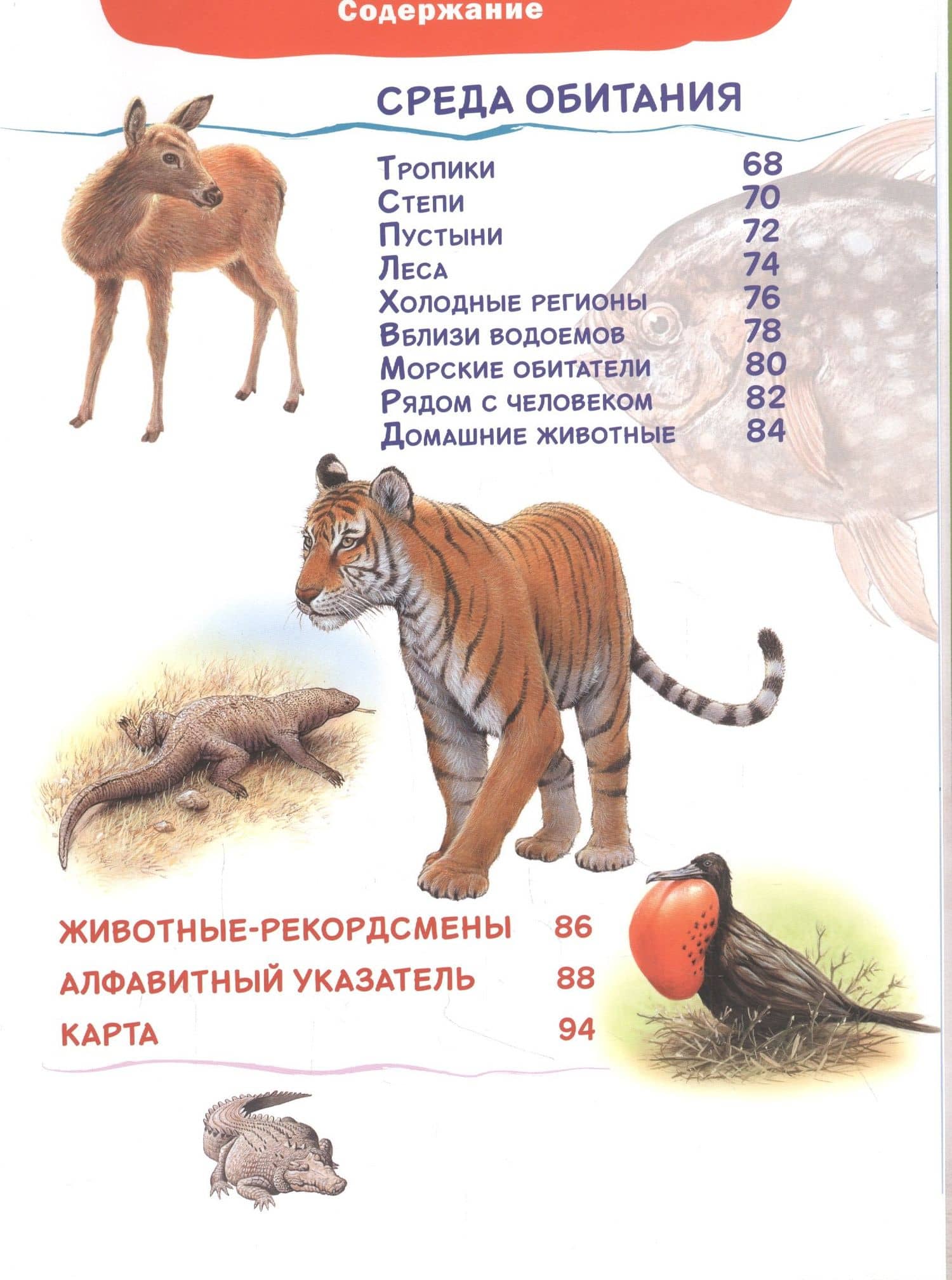 Мир животных. Детская энциклопедия — Donsz Judit (3)