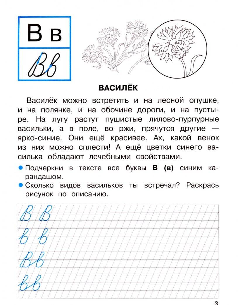Прописи для 1 класса с рассказами о растениях. ФГОС — О. Александрова (2)