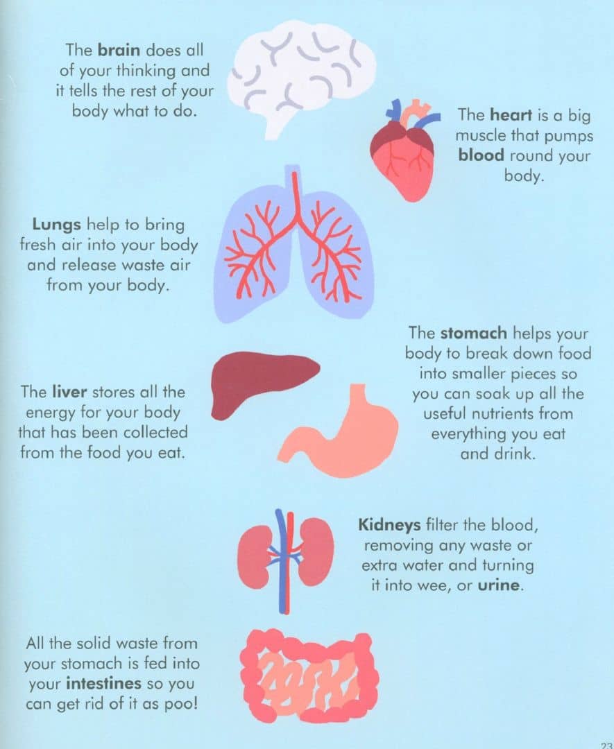 Wise About My Body. An introduction to the human body — Libby Walden (3)