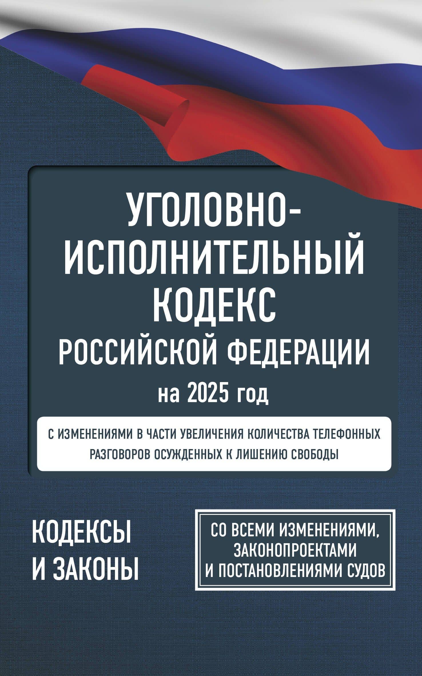 Уголовно-исполнительный кодекс Российской Федерации на 2025 год. Со всеми изменениями, законопроектами и постановлениями судов — А. Рим