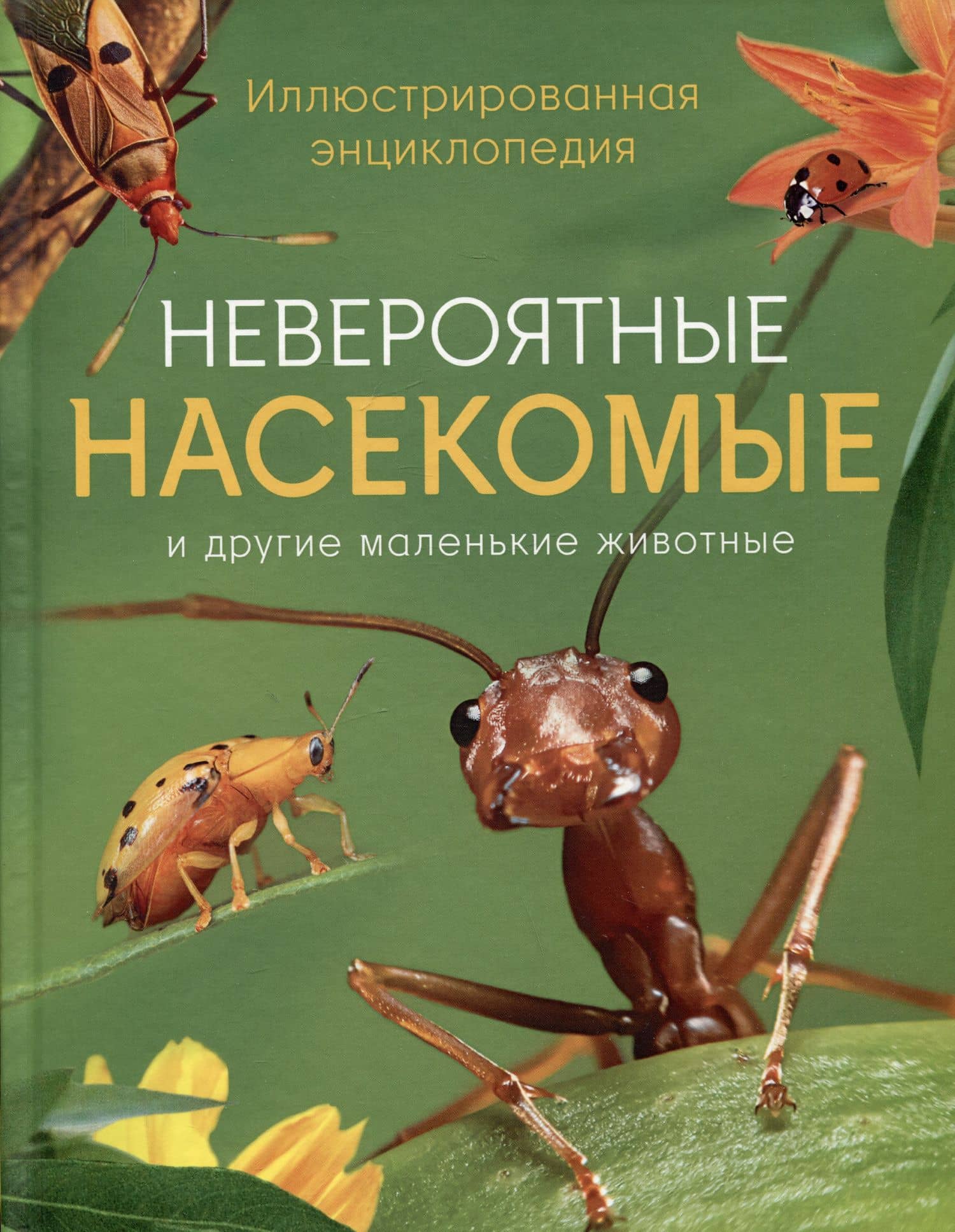 Невероятные насекомые и другие маленькие животные
