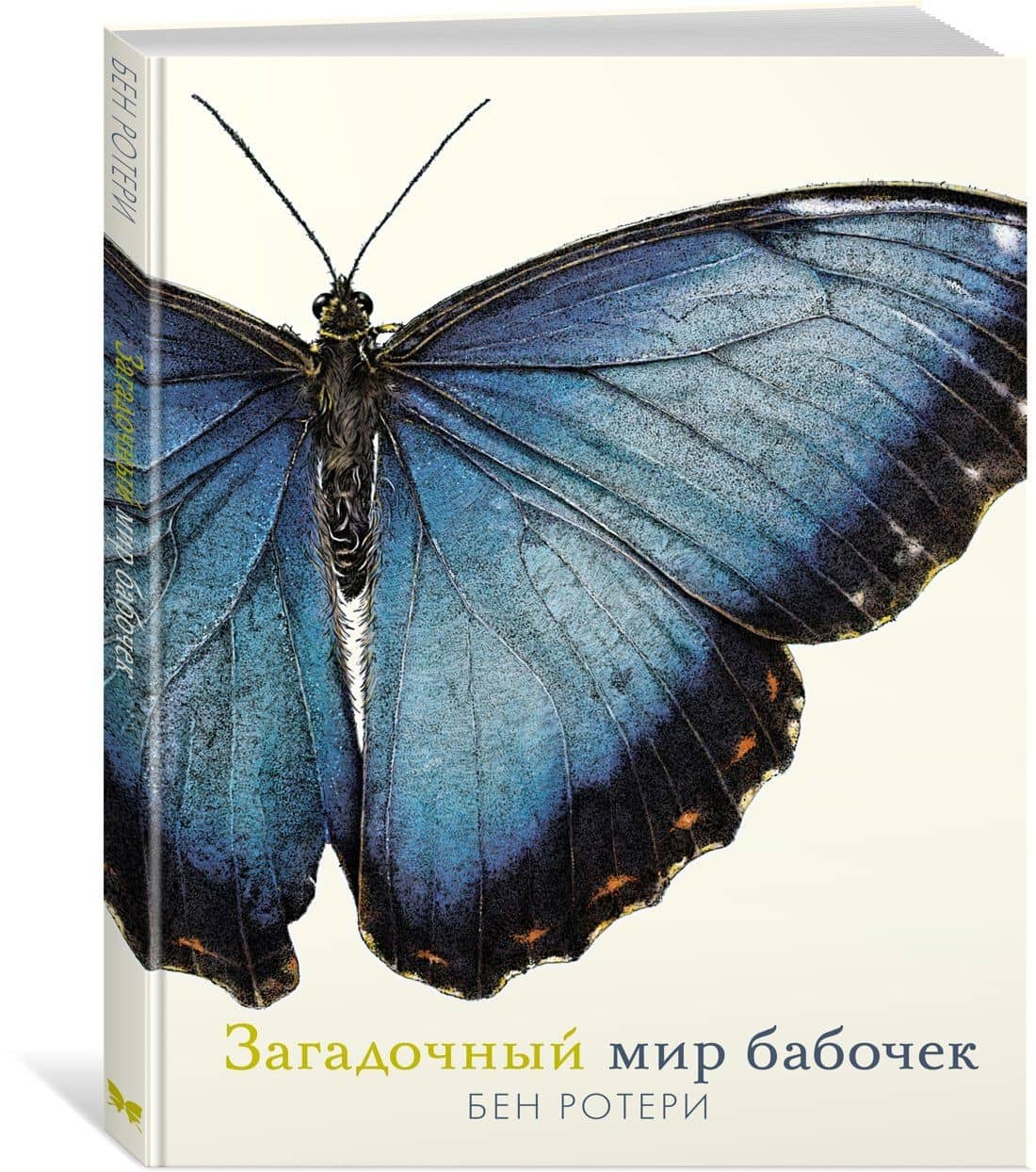 Загадочный мир бабочек — Бен Ротери (3)