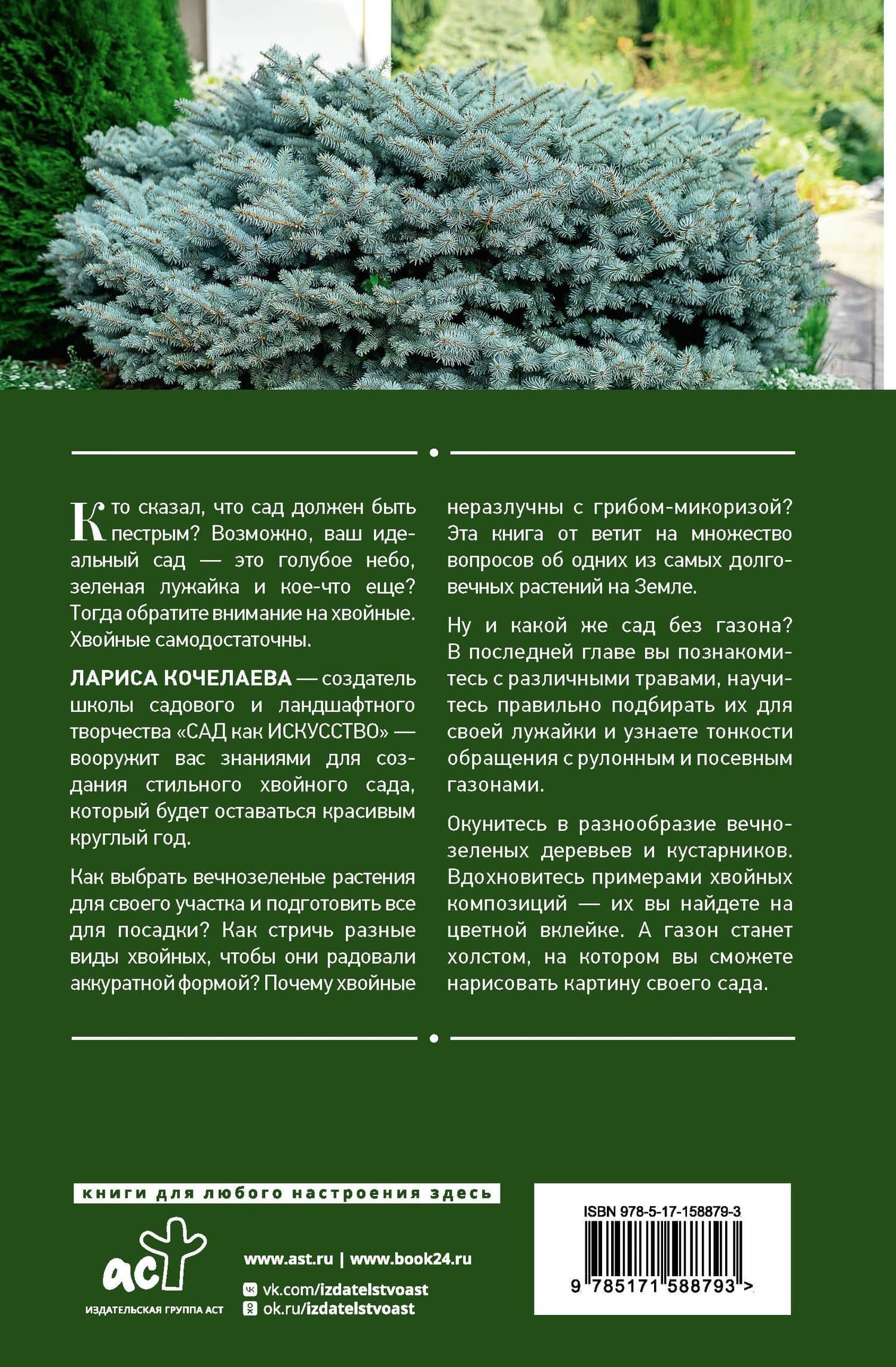 Энциклопедия хвойных растений. Вечнозелёные долгожители в вашем саду — Лариса Кочелаева (2)