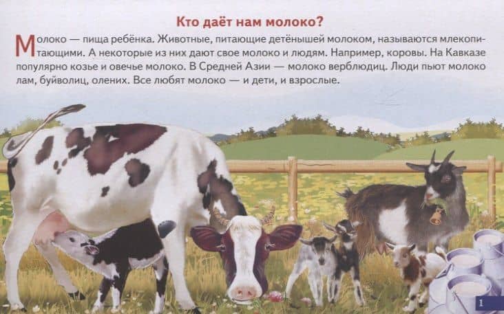 Обучающие карточки "Как получается молоко" (2)