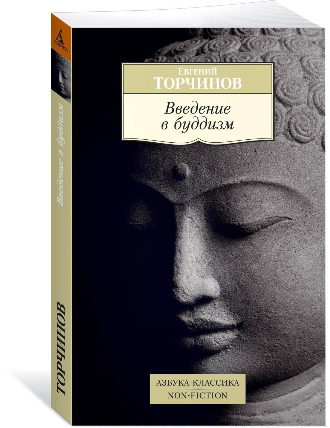 Введение в буддизм — Евгений Алексеевич Торчинов (3)