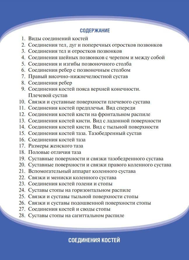 Анатомия человека. Соединения костей. Карточки: наглядное учебное пособие (28 двусторонних карточек) — Алексей Иванович Гайворонский (2)