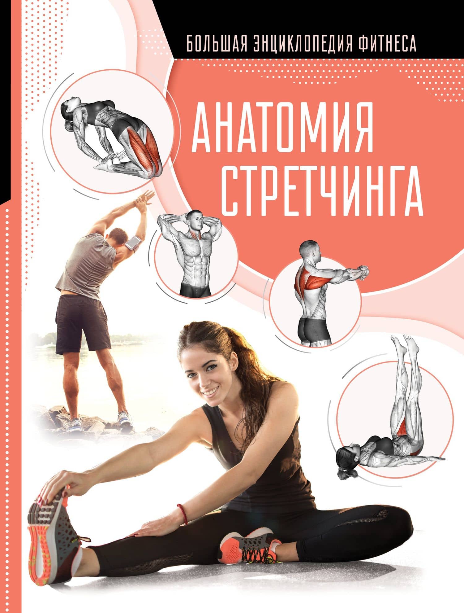 Анатомия стретчинга — Наталья Г. Степук