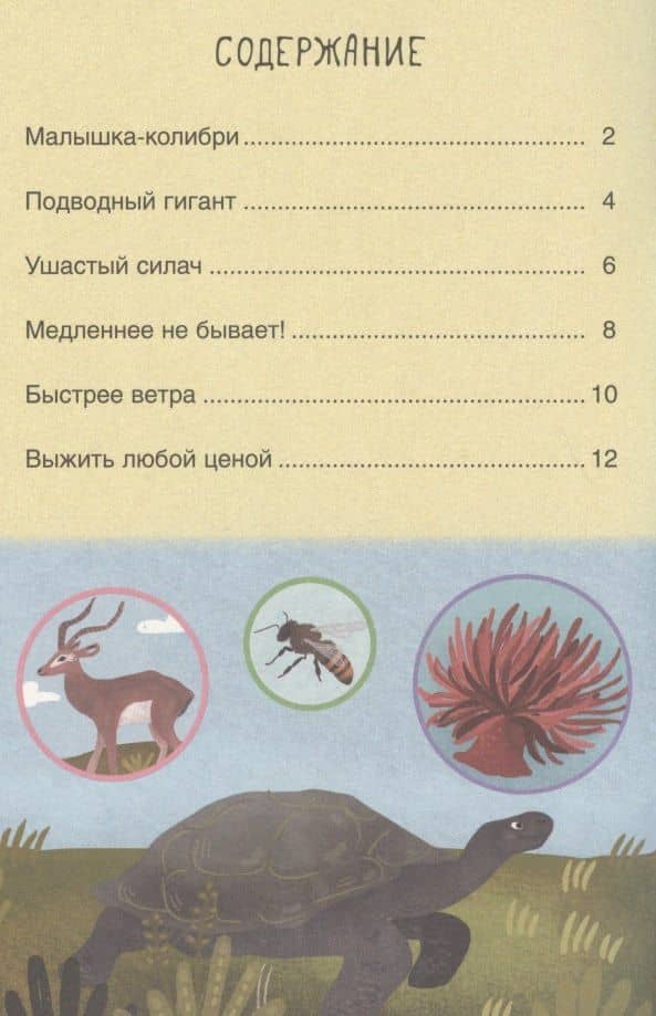Первое чтение. Самые-самые животные — Мария Лозовская (2)