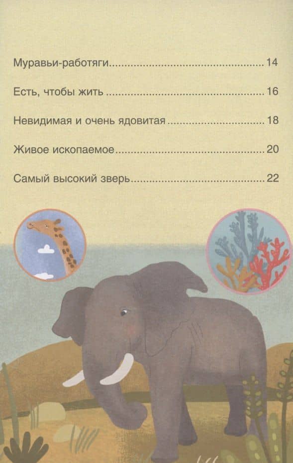 Первое чтение. Самые-самые животные — Мария Лозовская (3)