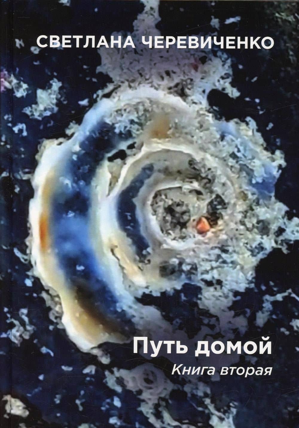 Путь домой. Книга 2 — Светлана Черевиченко