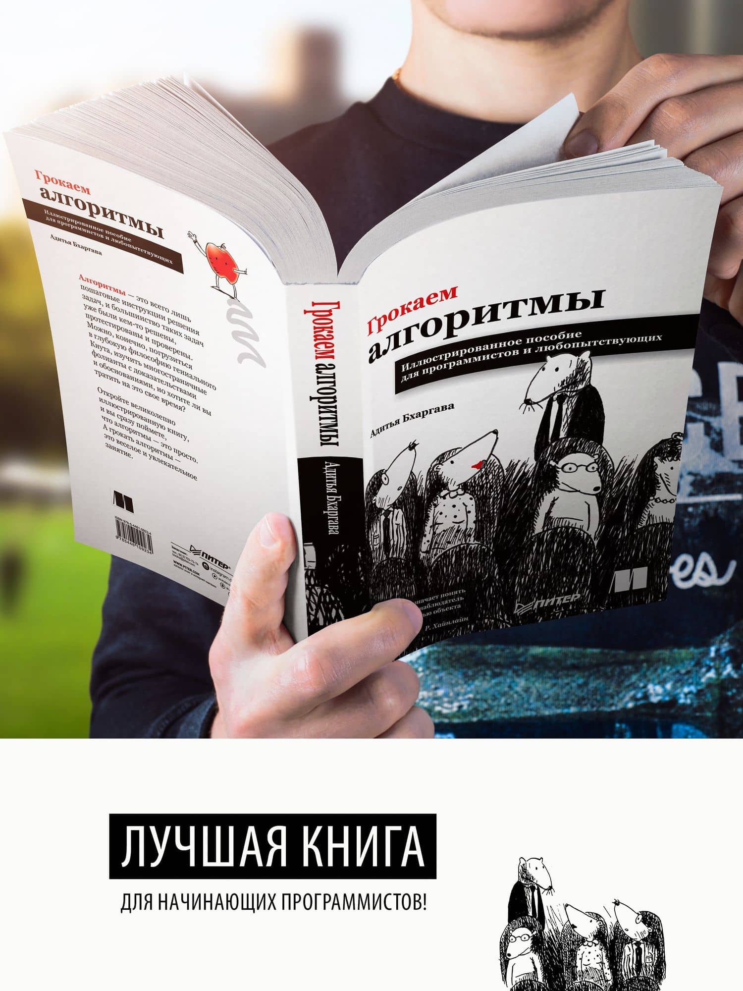 Грокаем алгоритмы. Иллюстрированное пособие для программистов и любопытствующих — Адитья Бхаргава (2)