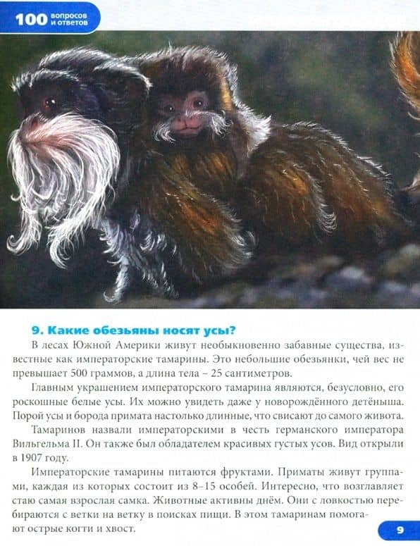 Удивительные животные. Энциклопедия — Ярослава Соколова (3)