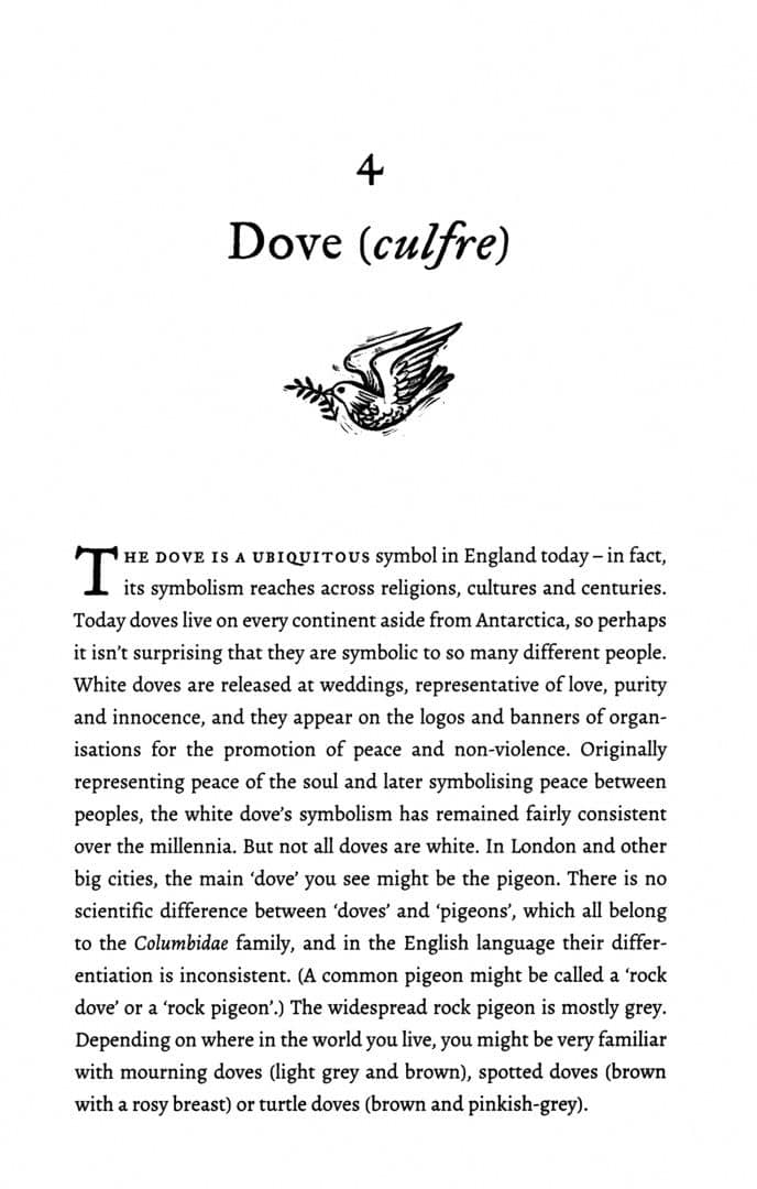 The Deorhord. An Old English Bestiary — Hana Videen (2)