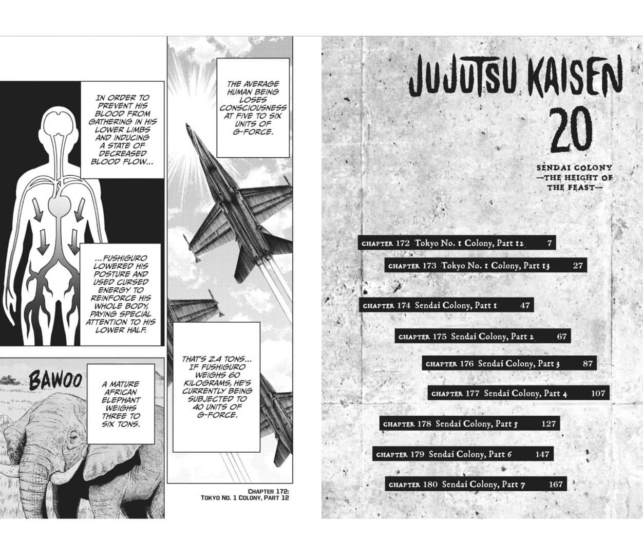Jujutsu Kaisen. Volume 20 — Гэгэ Акутами (2)