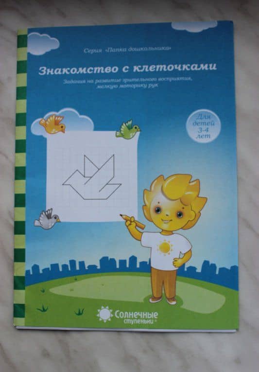 Знакомство с клеточками. Задания на развитие зрительного восприятия, мелкой моторики (3)