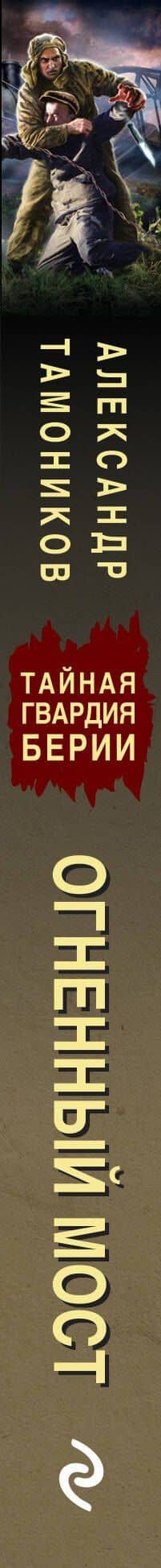 Огненный мост — Александр Александрович Тамоников (3)