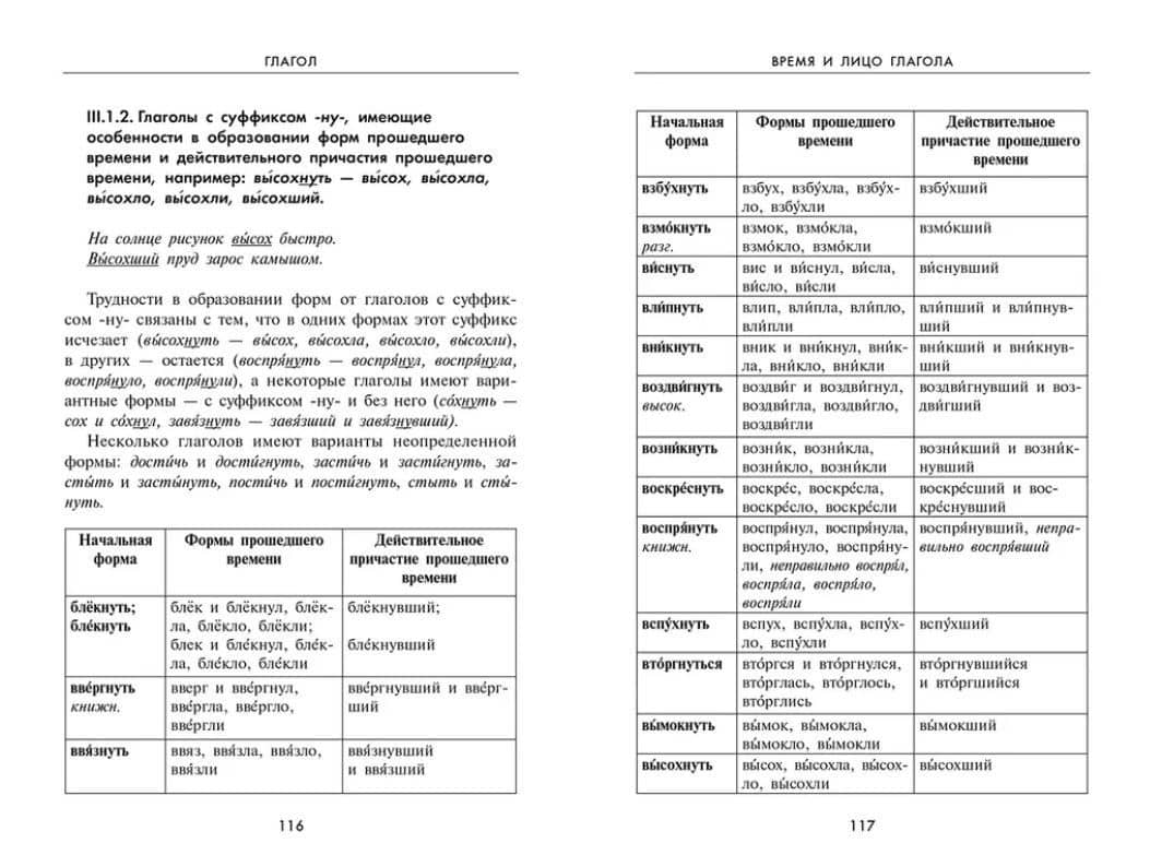 Словарь грамматических трудностей русского языка. 5-11 классы — Станислав Викторович Иванов (2)