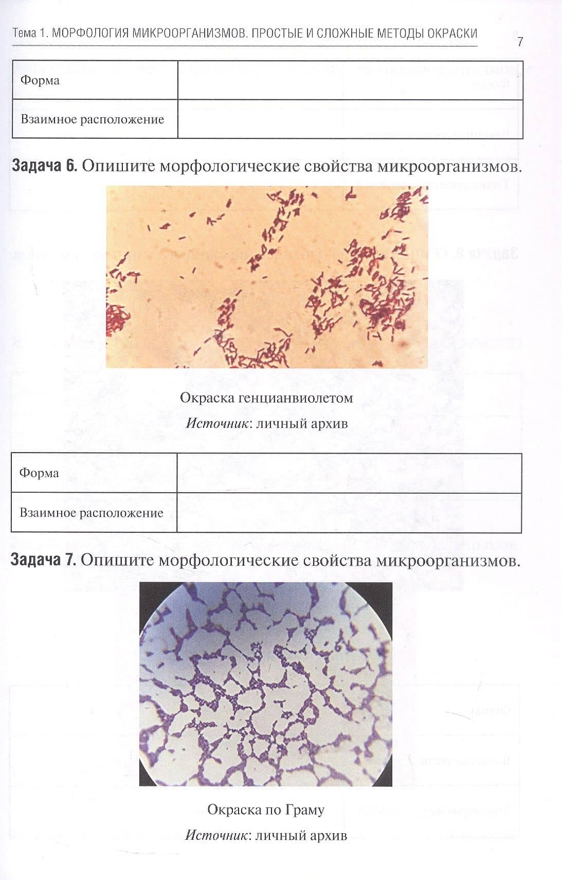 Общая микробиология. Сборник ситуационных задач. Учебное пособие — Анна Викторовна Олсуфьева (3)