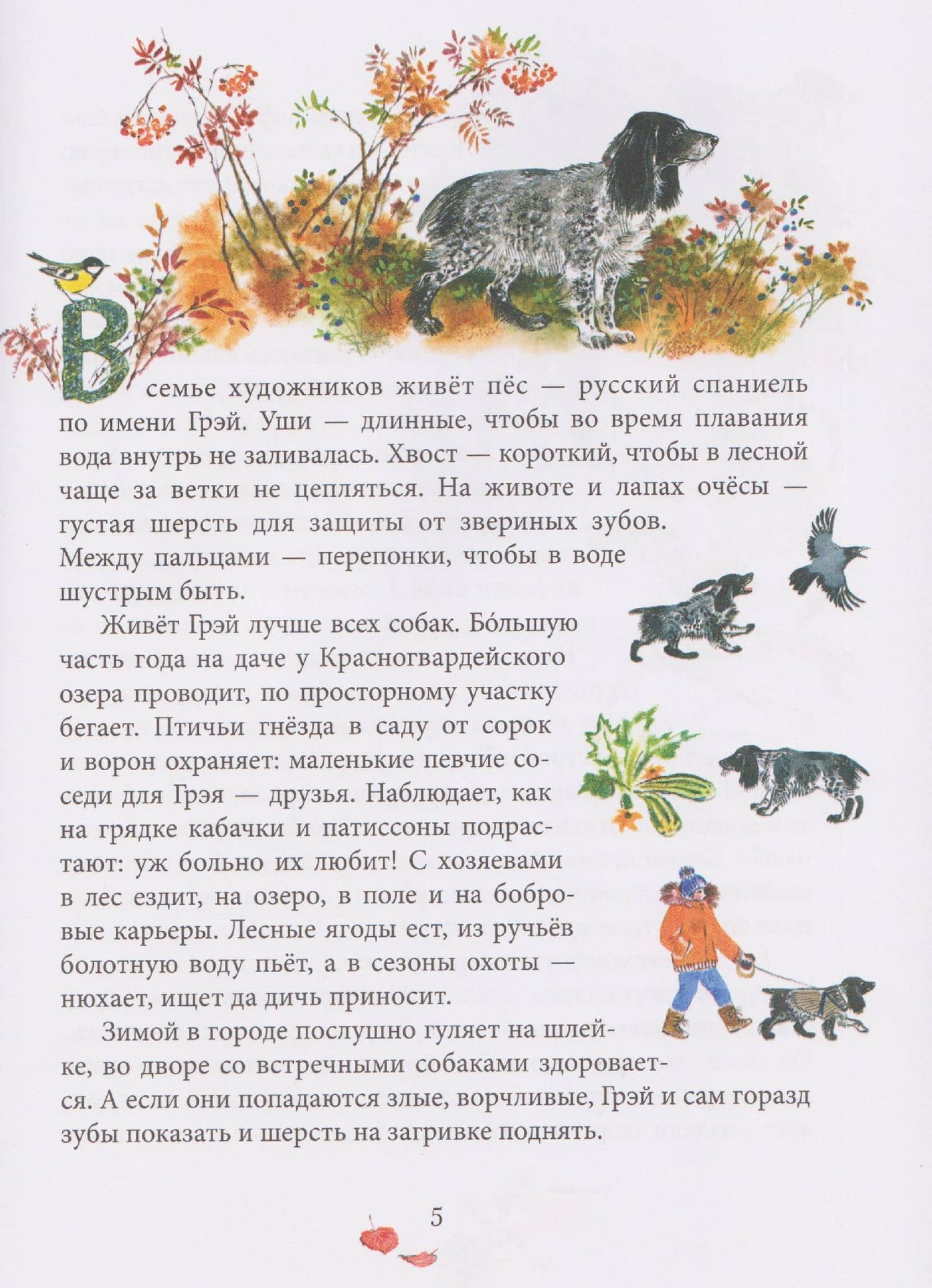 Чаща любит тишину — Евгения Алексеевна Чарушина-Капустина (3)