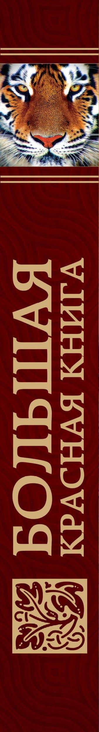 Большая красная книга (стерео-варио) — Евгений Александрович Слиж (3)