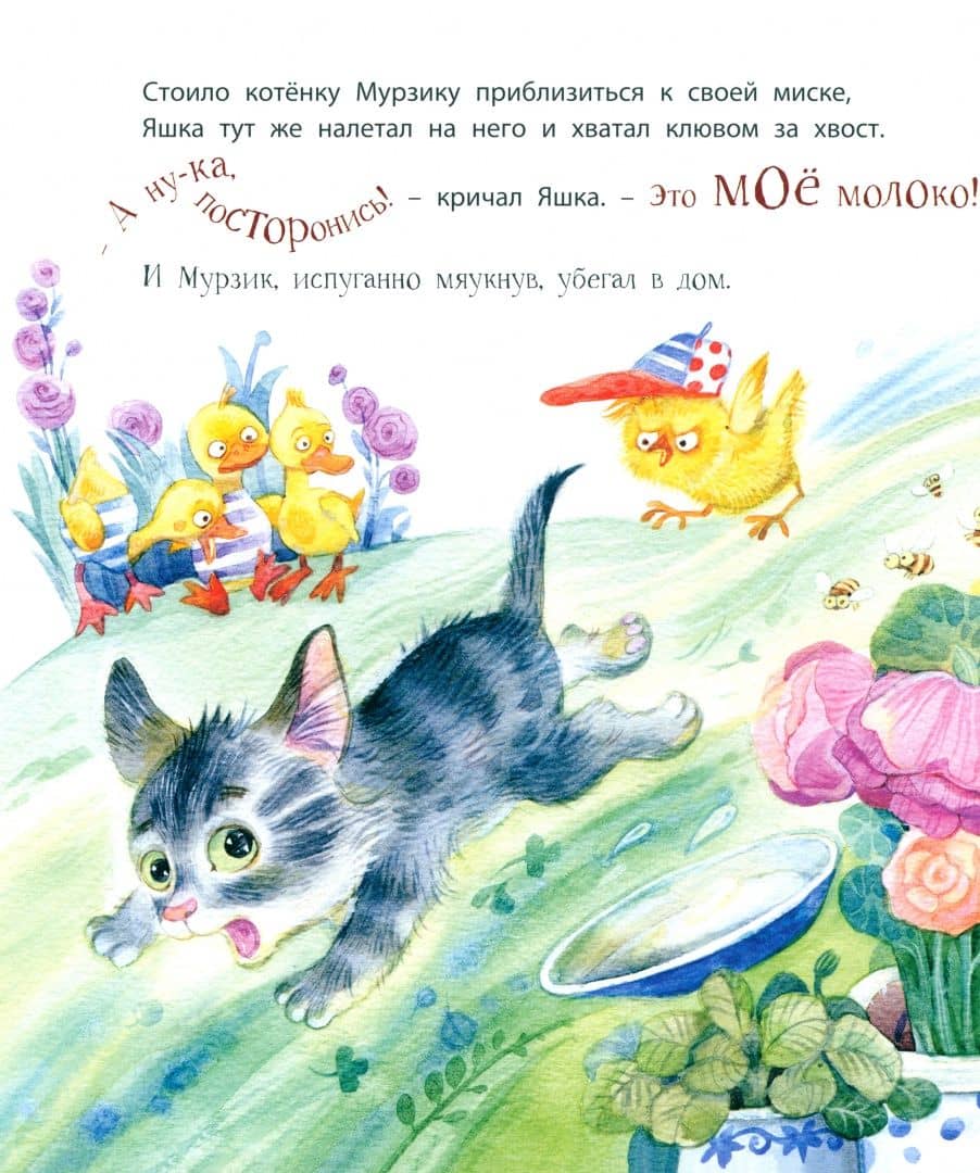 Цыплёнок Яшка, который любил драться — Ирина Вадимовна Зартайская (3)