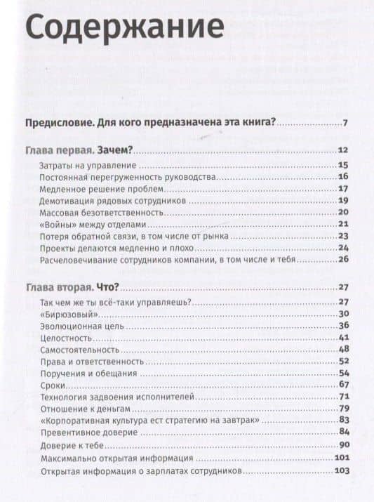 Бирюзовое управление на практике: Опыт российских компаний. 2-е издание, обновлённое и дополненное — Валера Разгуляев (2)