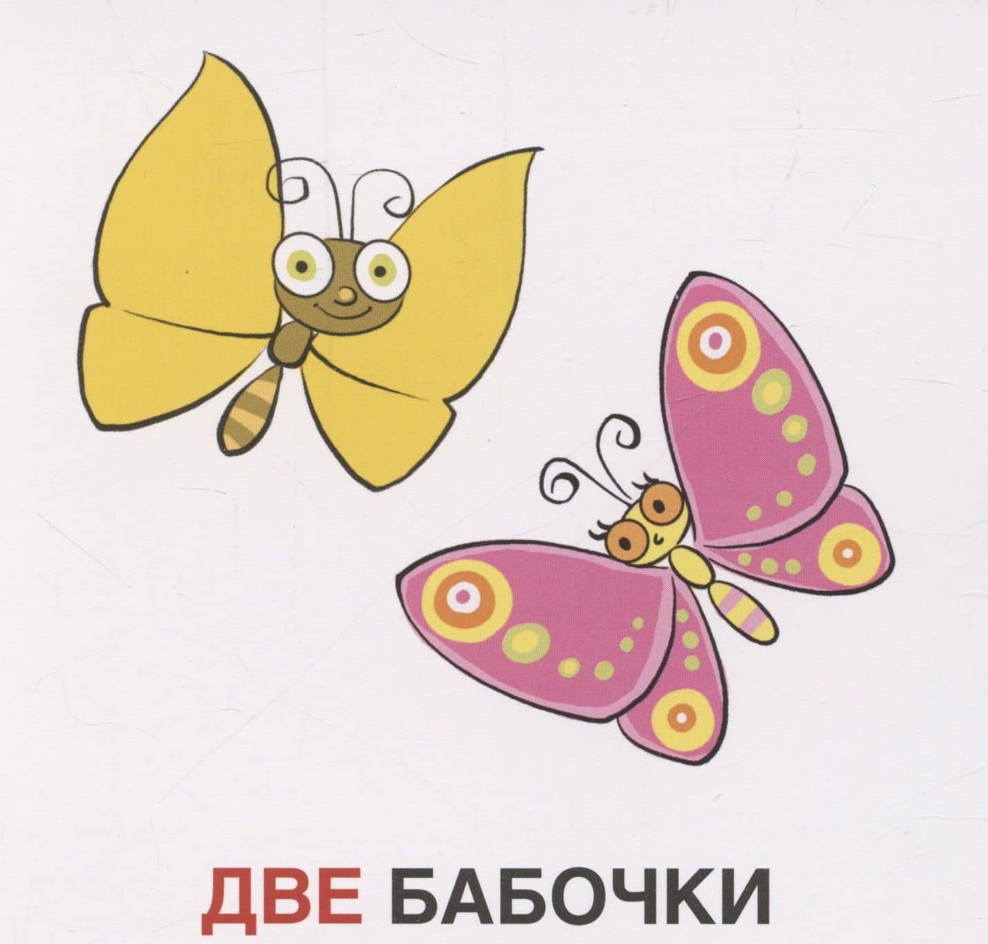 Карточки в лапочке. Один-много. 21 карточка с текстом на обороте (3)