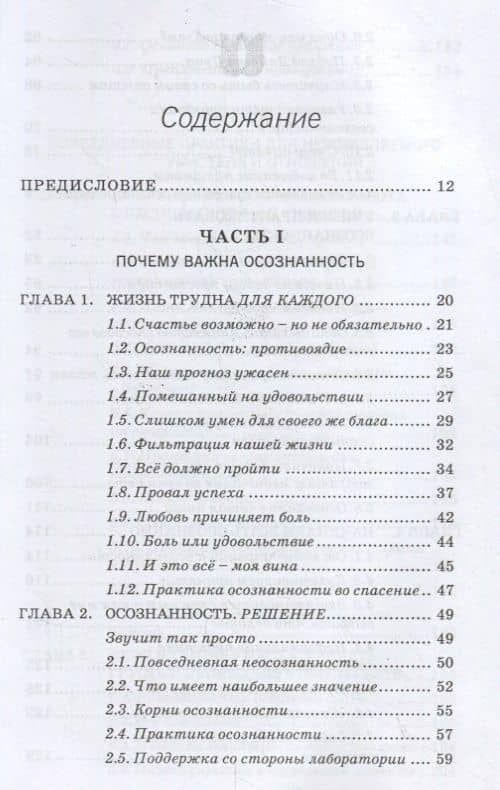 Осознанное решение. Эффективная практика для ежедневных проблем — Рональд Д. Зигель (2)