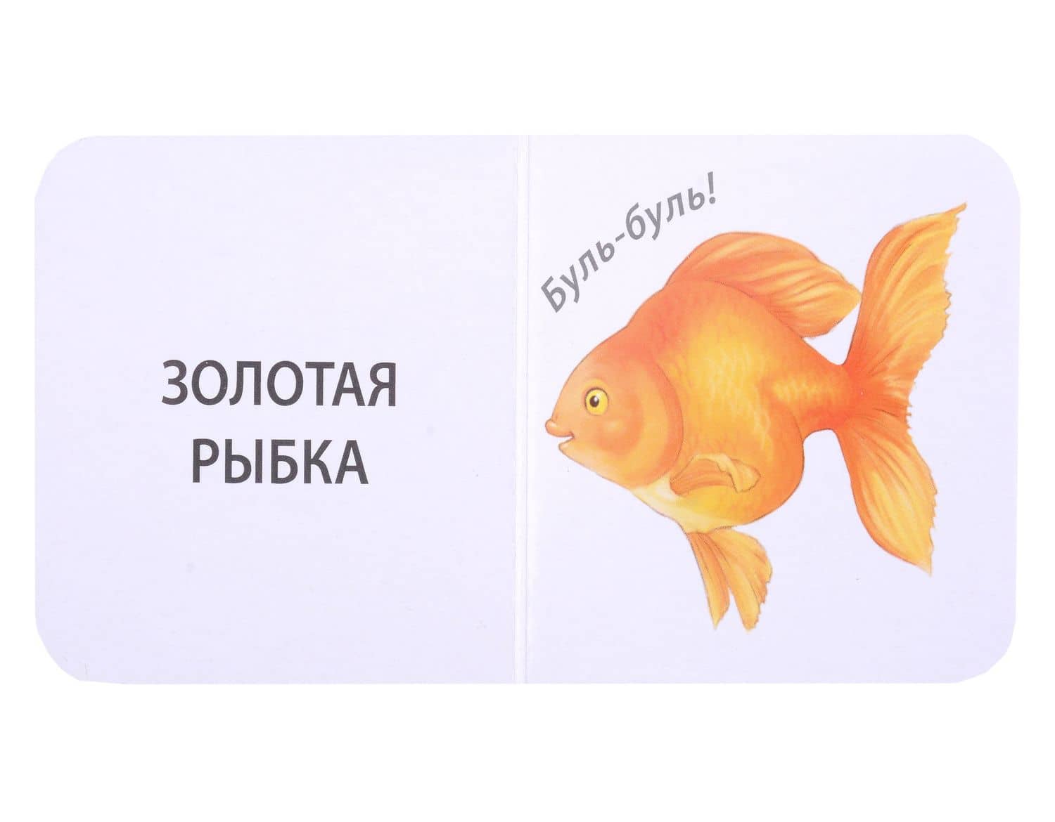 МИМИкнижки. Я начинаю говорить — Евгений Анатольевич Сосновский (3)