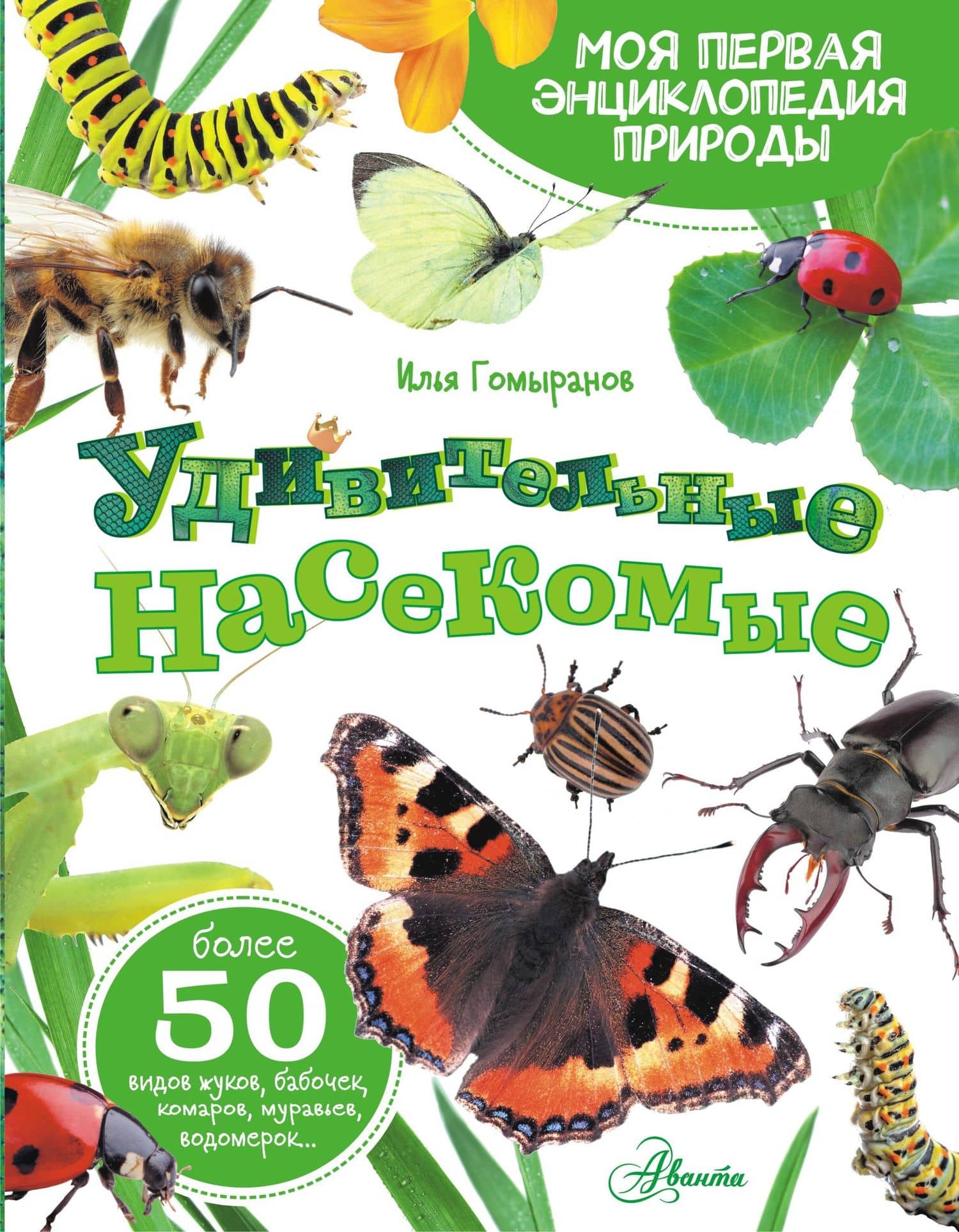 Удивительные насекомые — Гомыранов И.А.