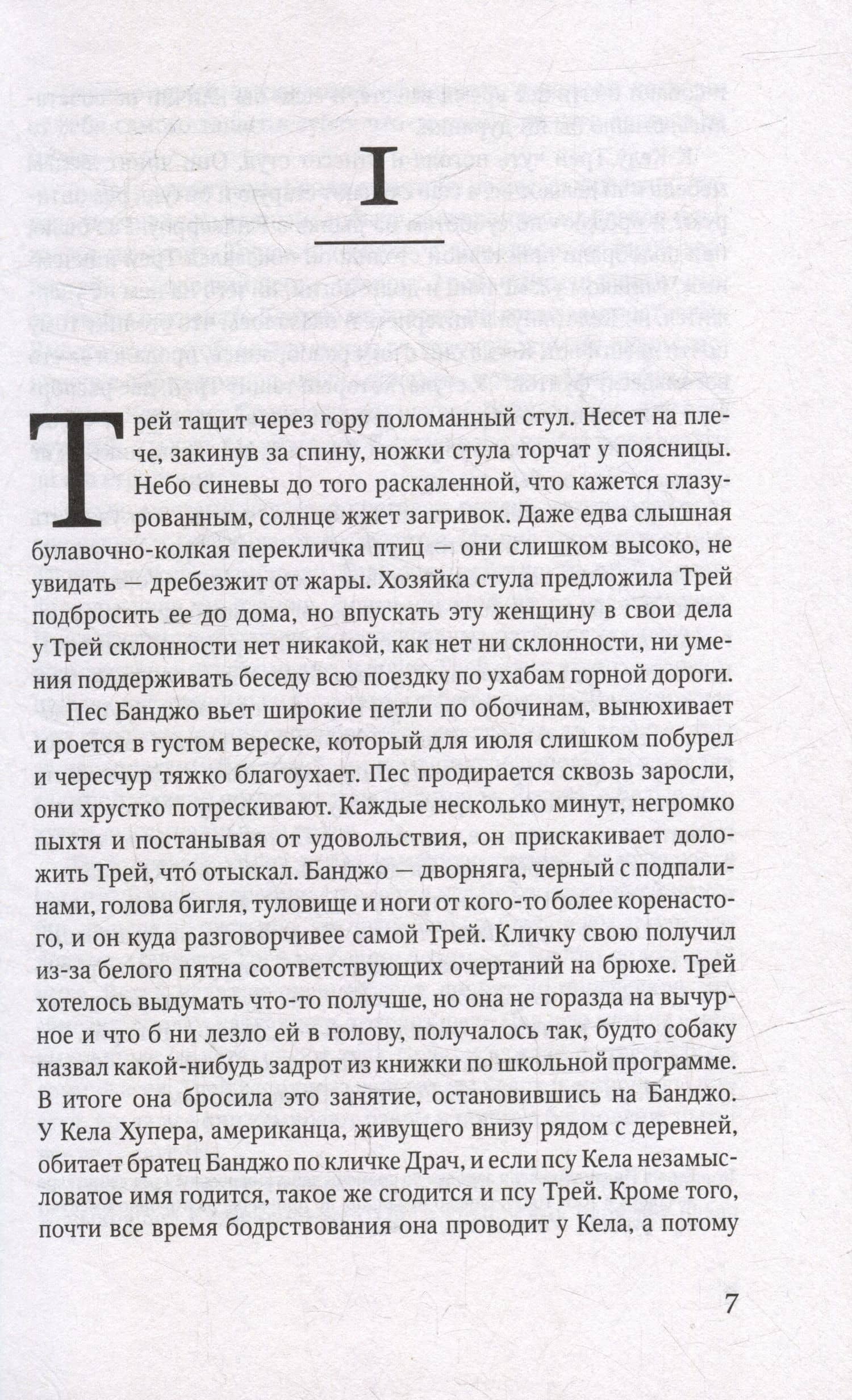Охотник. Роман — Тана Френч (3)