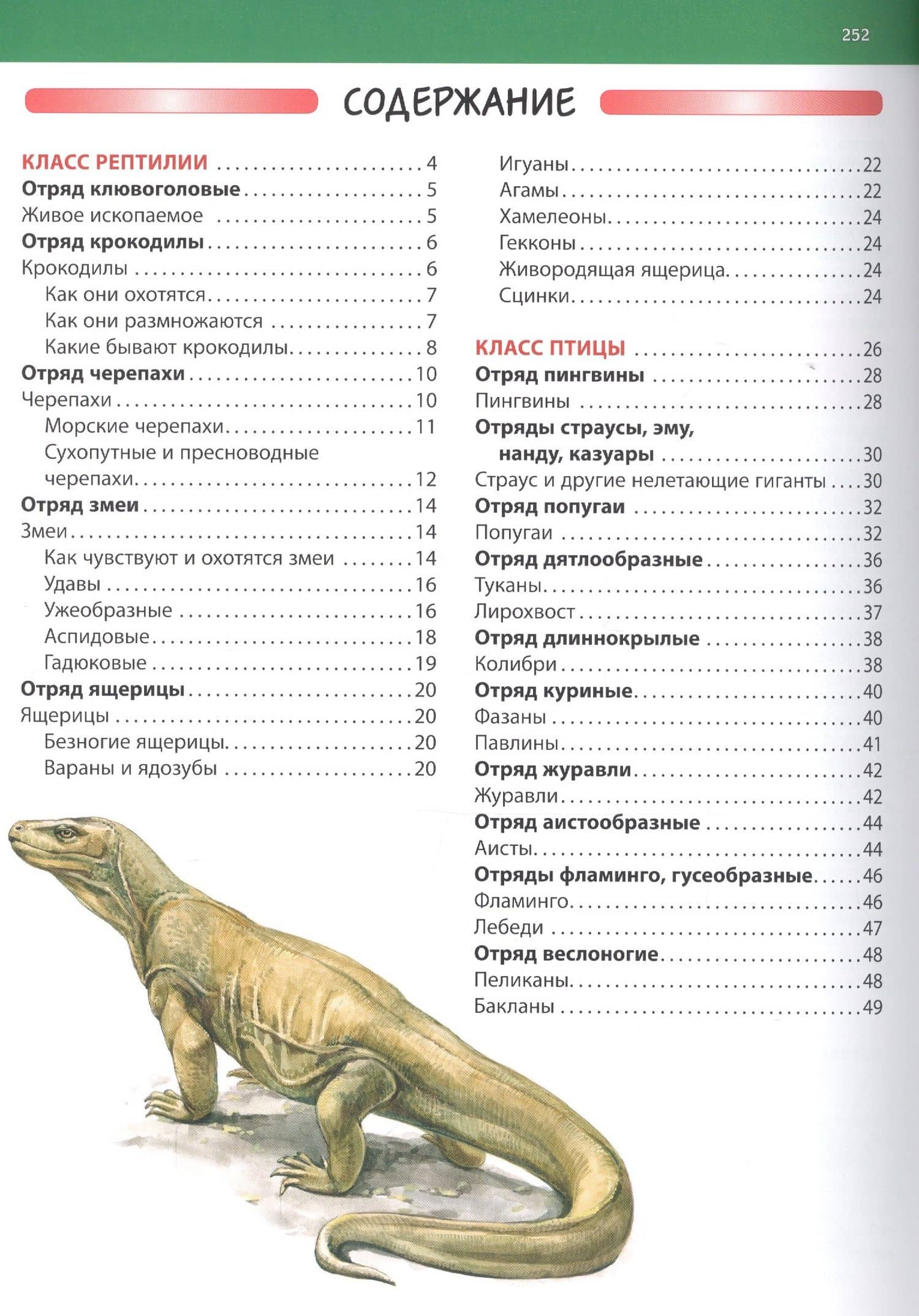 Большая энциклопедия животного мира — Сергей Рублев (2)