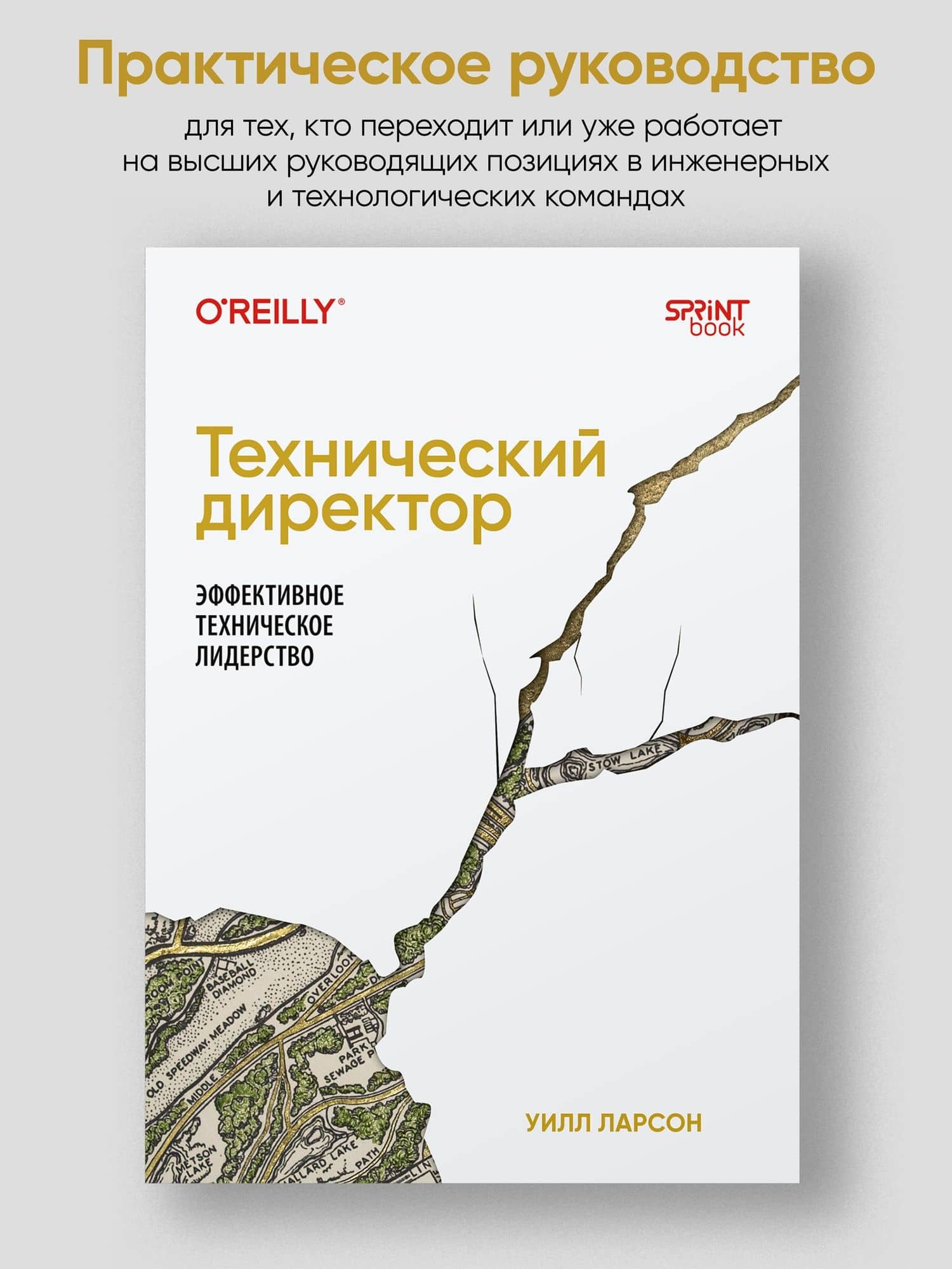 Технический директор. Эффективное техническое лидерство — Ларсон Уилл (3)