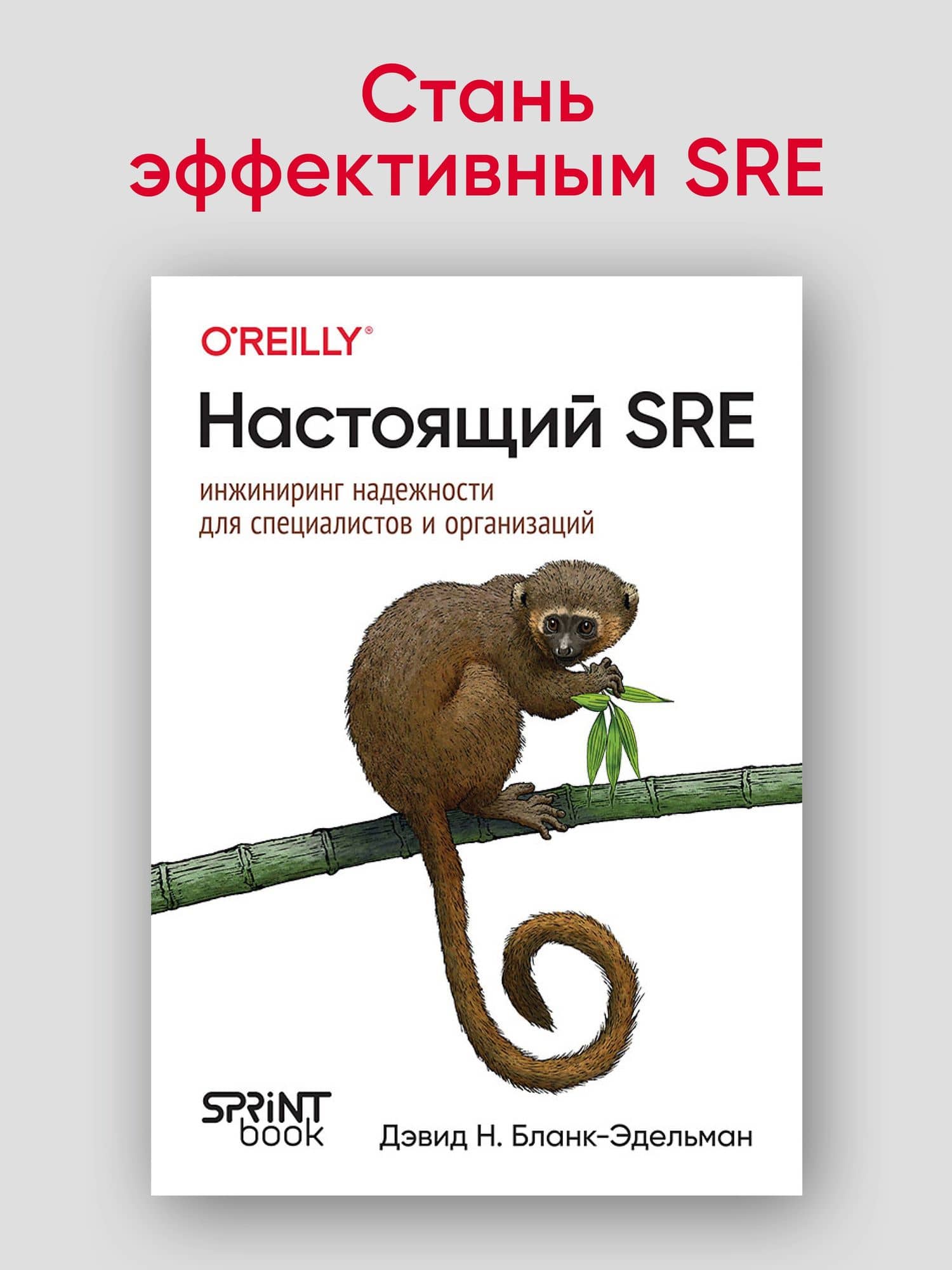 Настоящий SRE: инжиниринг надежности для специалистов и организаций — Дэвид Н. Бланк-Эдельман (2)