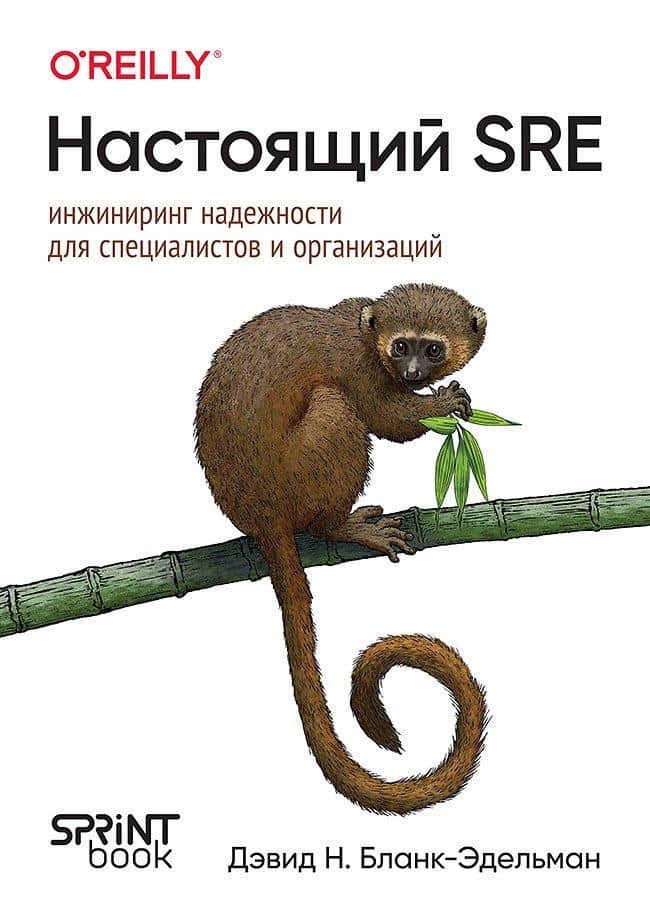 Настоящий SRE: инжиниринг надежности для специалистов и организаций — Дэвид Н. Бланк-Эдельман